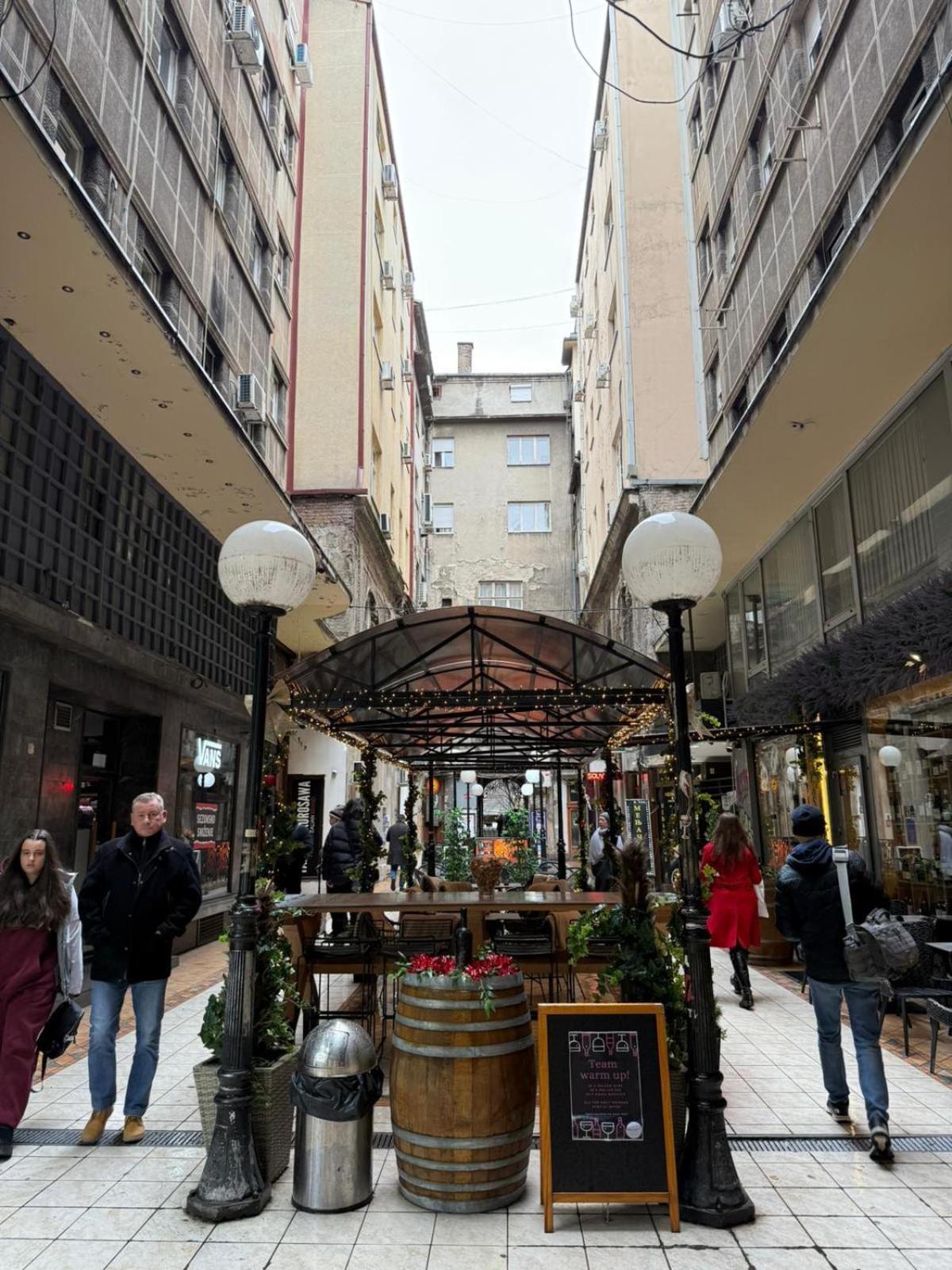 Knez Mihailova Apartment, City Center Bělehrad Exteriér fotografie
